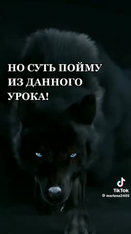 4ec921b2c041ec6cd9866b857c0bb44d