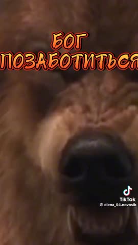 e2c2fdf5d3c7b6aa5def4c0d7cda6229