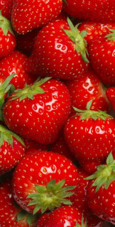 Nqwj_l2nlPbihtTDQ5HtdBVr22E197zNQCCh-XhzuCsdSTV2iSR7P85SVsyL2mG_yhiTEDCADATb9LwUKgrTFBYh