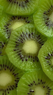 l7Opoo6rxXhbf3uzvwbI_F2DFW-g6ZsfHD1z_uXg-3_7z5t-jdRTBroqLdW-ZIRxFttbocenCd2MY5oatvcqm_F7