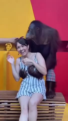 Селфи_с_обезьяной