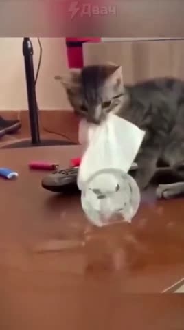 Без них скучно
