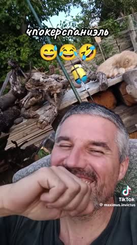 чпокер_спаниель