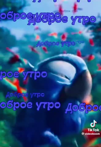 Доброе утро