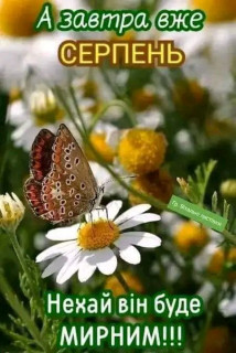 IMG_20240731_215211_534