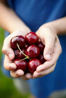 gKKDDrfeiXkb7xPQk1tiGovtLLH__tDLlENqoq0DXQP4gphtgdvqGCx_GBd30s2cEXhMhxrYoE5fskz3NpecKuAC