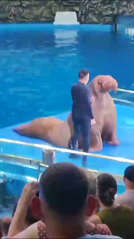 Танец