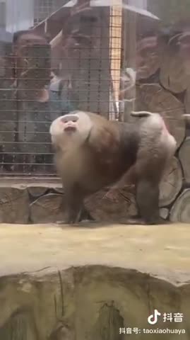 фотосессия_5