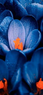 nHe-FPRJlboIzDHlh5c_sbYpjpTuKR0b6LQaChbjjkXtDneCcr5OBc6gPyUyhqDh7cLe7miliXdbxjksMz7d6Q