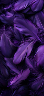 9aYHS5RXdMmDH2TXL2Zd6HQRMyaIiWRihf0CmaH3qfM91Olx4i44aey1FIRajiTRwbFoyvkzhErjh1ue902T