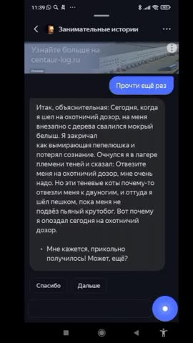 -Теневые-Коты-