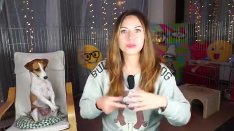 МОЯ_СОБАКА_ПОЁТ_КАК_НАУЧИТЬ_СОБАКУ_ПЕТЬ_-_дрессировка_собак___Elli_Di_Pets