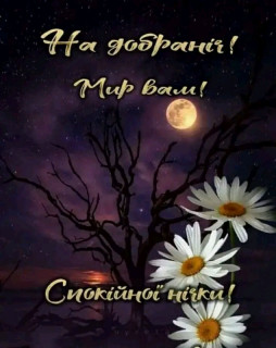 FB_IMG_17234074992889671