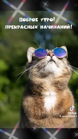 Доброе утро