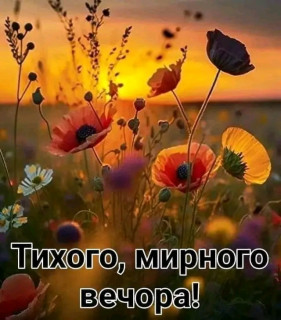 FB_IMG_17234773375877919