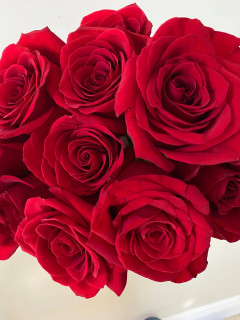 Mth4F684VDvvHK68NMlUrNQOt5mzBIb2H3iBe8t16kH-om4AGIwwFfx3GpQpyx3OIpasqfXGqX_go7zOn8h7YB9t