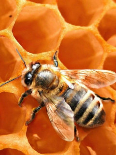 QdH9G3TzFxtrOV63sE840F-ZI5PkIkUsHh5qIDF8r8R8dzmd67sGCqJEegf4icEOOLLDiC0IbTTKI83pXSUAaKcY