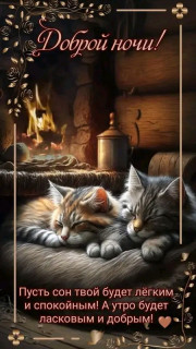 FB_IMG_17236658486675754