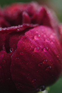 JE_Aey_pLto9-y3DN1M8_PhzUO4tn-lP2BbanoPn7u16RGPDuStRLgDTZn7RBMkaz2YSIx520YRxJMQLTuJwA3y3