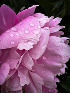 6BVj5Uid-xkslfsfwCt5jZPwBbfwr4xhBBw9HJGx6dw4xGRw24Ym-mu-Ts2H2wBvdAXyPHrOZvmjlDQCoLnVYgv0