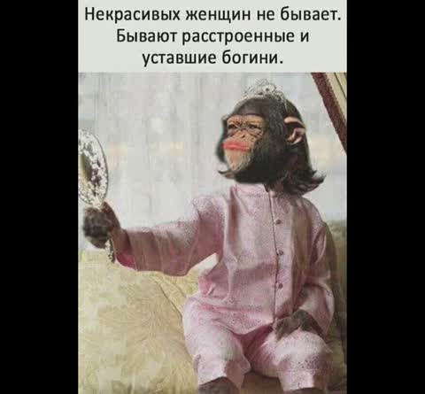 Красота спасет мир