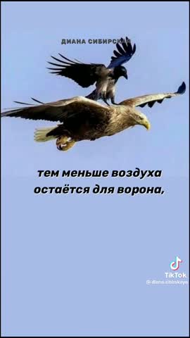 5c92c7b188c9cbbbb78411c51493b0f1