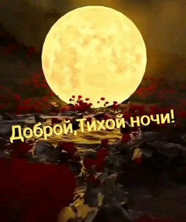 IMG-44a2e2a6f8c314cecc0ff608eceba003-V