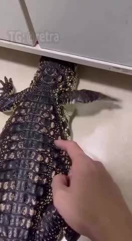 отстань_щекотно