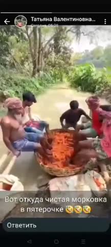 морковка_для_пятерочки