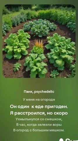 Лето дача огород