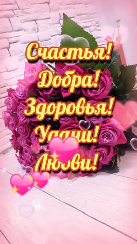 video-e5101b5c61855ff8b1da33fb0ecde538-V