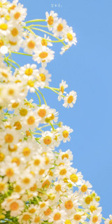 TY46F4KqDHessI7AKpgkW2Ckd7ncFYdlYTg0p01dm9SSzwe6zArcJcCLcHPzChm6ERwyufifx_gMYa0qPRV00AMy