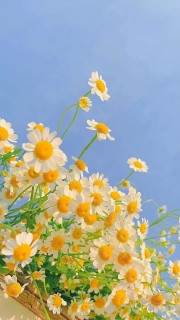 D4fhEWR3N1RYmzuZoFrqhj70Va8LjIqPgKj5GZdFOm7-4-i31r8tFabzKsBAdIUf8DEqtUtkTsF2toSiP9i4i87K