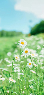 H9LnHpE7rPZlSHYnvebX3bfgTjt_ehc2nVRN7RJqVKpInIm73pgBBJyhLcN6hKLQ9Usp4Ni86QE5bd1KsjMulVvq