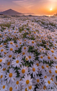 -uDNtFWyuBWp8msC6Sj3_FbAkrIuK_pkVGXpjjvOp63_l-2lOBLB53uGaJAD5dxJYvgIomDgrC7Muztldh4cEB6C