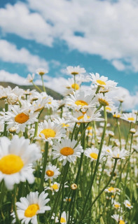 Xu_rZ0IWJGKjV3kYTg6vENGb_XA3h5cTGf-MzZGbGuFGMSTNf8DR5Y76LW6MM5FCwl_bgrAO4J3bTr9c9HOGRk