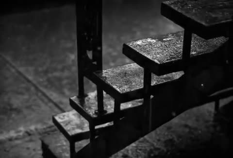 video_-_2024-08-19T091830_546