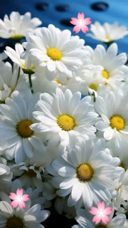 FB_IMG_17240751833063704