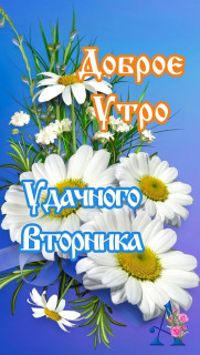 IMG-7c9e23165f44002b55f082f7149ed134-V