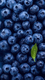 s3EB9mFBOoXjosyBBwGLQYSPr5wxDFCiSGLGhqaik5VwBOS-7kdiB3GRDK_-5-SZSLzYqvo8KTpTa3_9_BxSqvM9