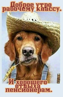 IMG-f524b730c5bedfb9803349b3583301e7-V