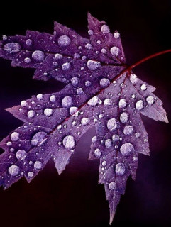 IYY5SXCcj-P8q6YmeHGGV_xYA2Bv7l2w4XyqgxE2NA4_uGJIq420bId0T5F_r-nLu6ZaIGyjNFfHZieDvwTnqGf2