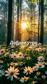 IMG-5219263ff3d24c599f4f5d6b59af75cd-V