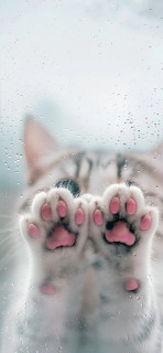 Oj1qBOPqWWZXhlVdxZE7CcDH3M7Z7gA5iDDXsYai8cS7M9I0rdUy1UnERfedBBMHGVKRI__-2fxB-Ow4THWBVVYm