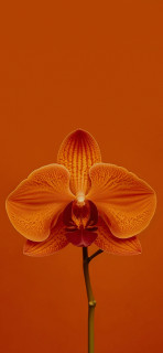 VsZFRyZHQzHnYBWT0Ar8jTch_NQ6nGdmLV_ya57q2n8jKsrYpdH_Ij4CbFJdHWIG-Oj6Cv0cwTr2obAIRgfR-IW9