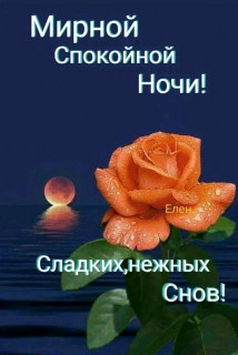 FB_IMG_17248781736000637