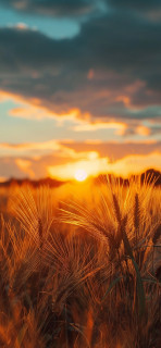 57tMQzGPyzlP9AVCabo_rMOMntnq4O9427R7GGBVJW_9yKvpeVpIXniZPRwwPVI4IIW7DwrQbHGr3bvYSb67ND2R