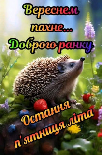 FB_IMG_17249985740372465