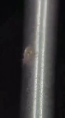 телефон_под_микроскопом