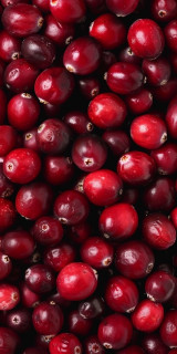 x1DTqni8pOFgzqDZ2R8MVu1JInYivESgEtEKABWeFrqpWQQ4SoHqoHoBQhoEqGZg8c8K6e40Qn2Dgg8lTQ4eka